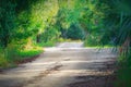 Impressionistic rendition of tropical road