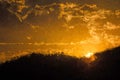 Impressionistic Style Artwork of a Barren Tree Branches Silhouetted in the Light of the Early Morning Sunrise Royalty Free Stock Photo