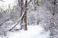 Impressionistic Style Artwork of a Cold Snowy Winter Forest