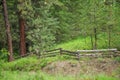 Impressionistic Style Artwork of a Fence in the Forest