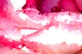 Impressionistic Style Artwork of a Nature Abstract: Lost in the Gentle Folds of the Delicate Red Rose Royalty Free Stock Photo