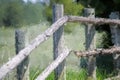 Impressionistic Style Artwork of an Old Weathered Wooden Fence on a Spring Morning