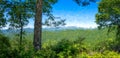 Impressionistic Style Artwork of a Springtime Appalachian Mountain View Along the Blue Ridge Parkway