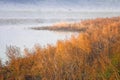 Impressionistic Style Artwork of the Tranquility of a Golden Autumn Morning in the Marsh Royalty Free Stock Photo