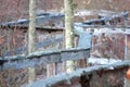 Impressionistic Style Artwork of a Winding Wooden Bridge in The Forest