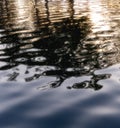 Impressionistic water reflection