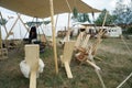 Impressions of a camp life on a medieval festival in Germany