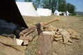 Impressions of a camp life on a medieval festival in Germany