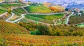 Fields of vineyards in autumn colors in Piedmont. North Italy.