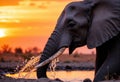 Majestic elephant splashing water at sunset in a serene landscape Royalty Free Stock Photo