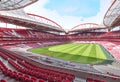 Impressive Estadio da Luz arena