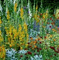 Flower border with colourful plant combinations