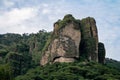 Impressive giant rock, part of the forest, vegetation gaining ground Royalty Free Stock Photo