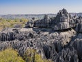 Karst limestone formations in Tsingy de Bemaraha National Park, Madagascar Royalty Free Stock Photo
