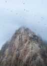 Impressive landscape of cloudy mountain with vultures circling around the top