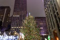 Impressive Manhattan, New York City, Christmas Tree at Rockefeller Center. Skyscrapers in Background Royalty Free Stock Photo