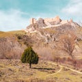 Impressive mediaeval castle in Spain Royalty Free Stock Photo