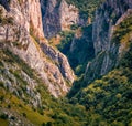 Impressive morning view of Cheile Turzii / Turzii`s Gorge canyon, large natural preserve with marked trails for scenic gorge hikes Royalty Free Stock Photo