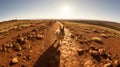 Impressive Panoramic Rabbit Photo In The Middle East Outback