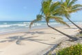 Impressive paradise beach at the Itacare Bahia Brazil