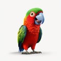 Realistic Pixar-style Parrot On White Background In 8k Uhd