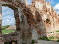 Impressive ruins, from the castle built in 1266, red brick walls, trees on the walls, Castle Brandenburg