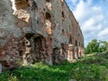 Impressive ruins, from the castle built in 1266, red brick walls, trees on the walls, Castle Brandenburg