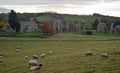 Easby Abbey near Richmond Yorkshire Royalty Free Stock Photo