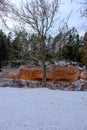 Impressive sandstone wall on the banks of the river Salaca, Skanaiskalns national park, Latvia