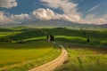 Impressive spring landscape,view with cypresses and vineyards ,Tuscany,Italy