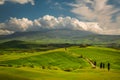 Impressive spring landscape,view with cypresses and vineyards ,Tuscany,Italy