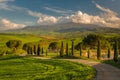 Impressive spring landscape,view with cypresses and vineyards ,Tuscany,Italy