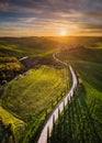 Impressive spring landscape,view with cypresses and vineyards ,Tuscany,Italy