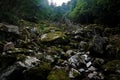 Impressive talus with mossy rocks spotted in the Vosges