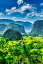 Beautiful view of the valley of Vinales. Tropical and almost a rain forest with overgrown hills