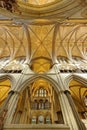 Winchester Cathedral vaulting and ceiling. long view. Majestic architecture