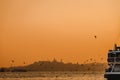 Impressive view from foggy Istanbul city with passenger ship, buildings and seagulls at sunset background