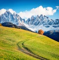 Impressive view of Santa Magdalena village hills in front of the Geisler or Odle Dolomites Group. Colorful autumn scene of Dolomit Royalty Free Stock Photo