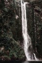 impressive waterfalls falling with force between the jungle trees and the dense vegetation between the mountains