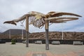 Impressive whale skeleton set on the sea shore nearby the town promenade, Los Silos, Tenerife, Canary Islands