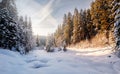 Impressive wintry Scene. Christmas landscape with Warm Sunlight, With lens flare. Holiday winter landscape background for Merry