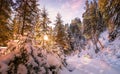 Impressive wintry Scene. Christmas landscape with Warm Sunlight, With lens flare. Holiday winter landscape background for Merry