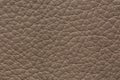Impressively leather texture in stylish grey tone.