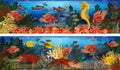 Underwater horizontal banners with seahorse, algae and tropical fish, vector