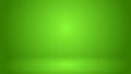 Green 3d room Background, empty photo studio Royalty Free Stock Photo