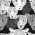 Black And White Jaguar Face Pattern Seamless Royalty Free Stock Photo