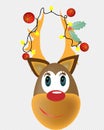 Reindeer funny face with garland of lights and ornaments tangled in its horns Royalty Free Stock Photo