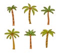 Variety of Palm Tree set