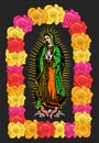 Virgin of Guadalupe, color Roses Isolated Vector illustration.