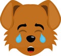 dog face tears cry